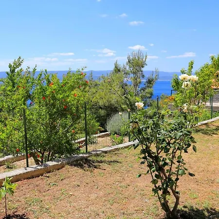 Studio Marusici 1024d Appartamento